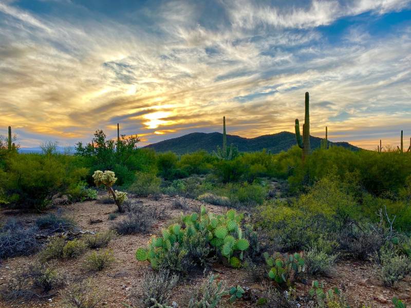 tucson arizona desert camping