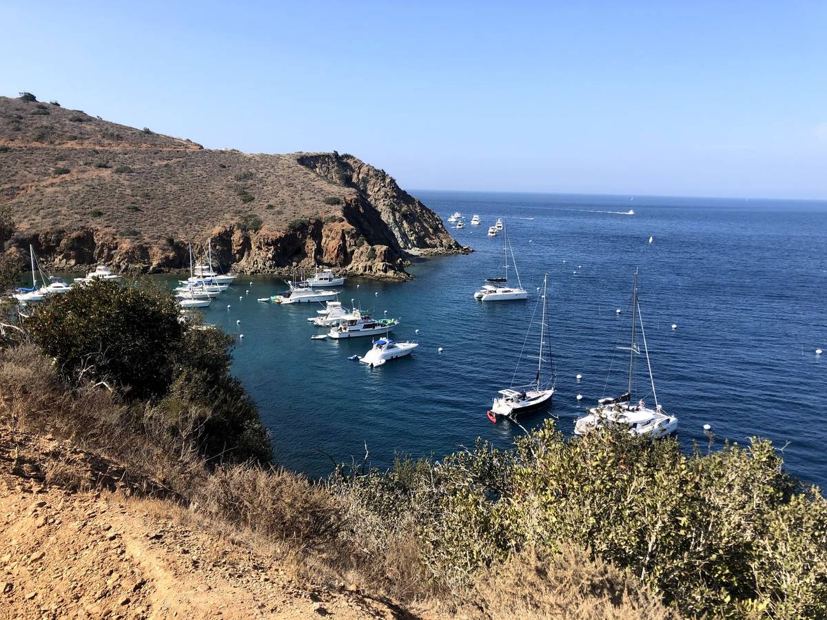 Camping At Two Harbors On Catalina Island