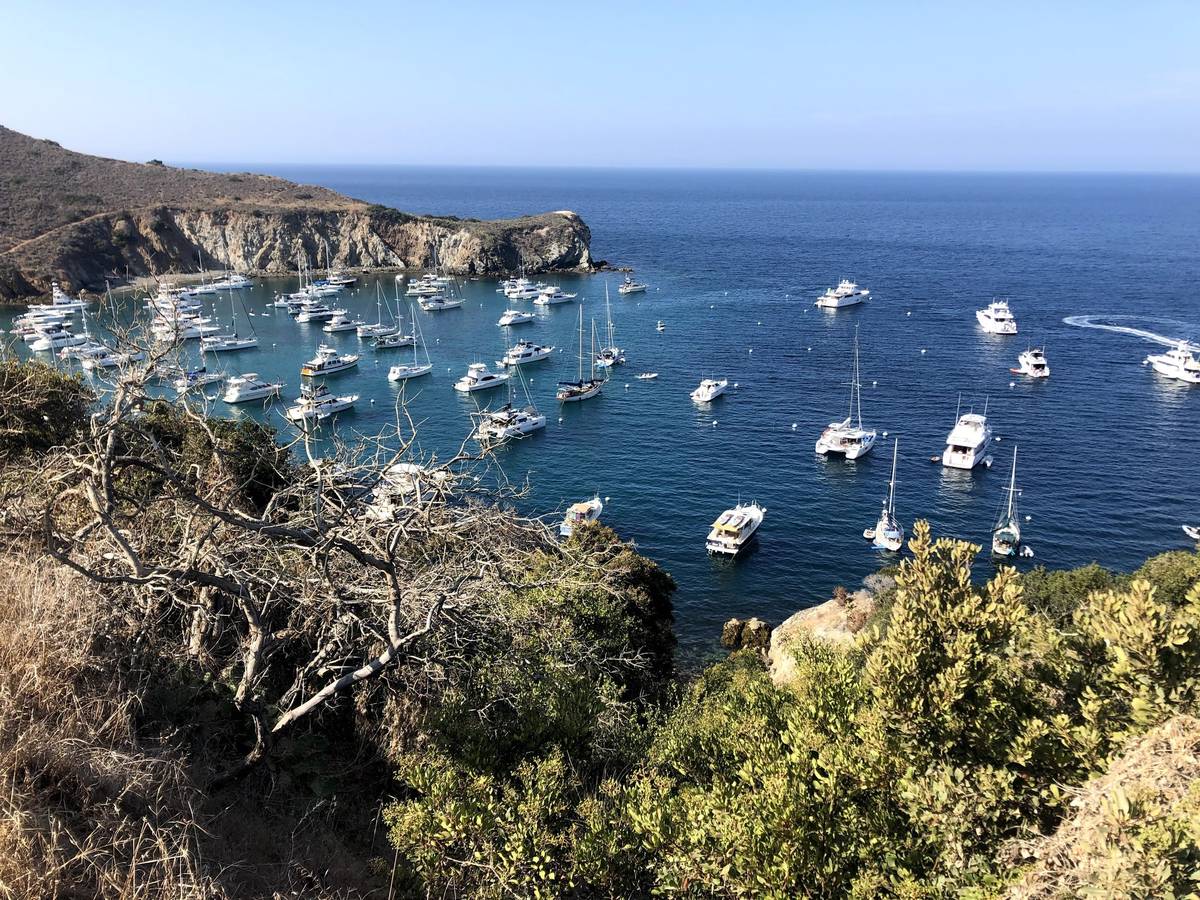Camping At Two Harbors On Catalina Island