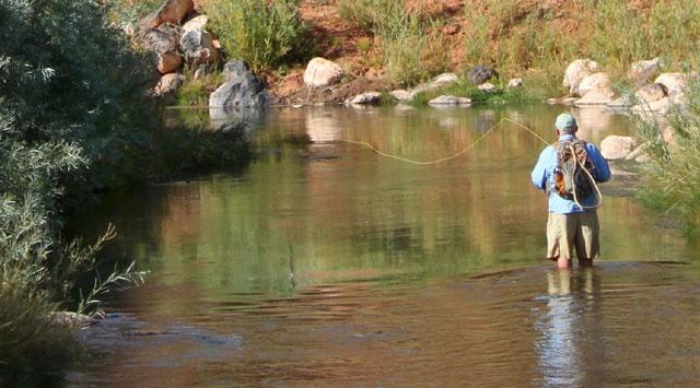 fly fishing