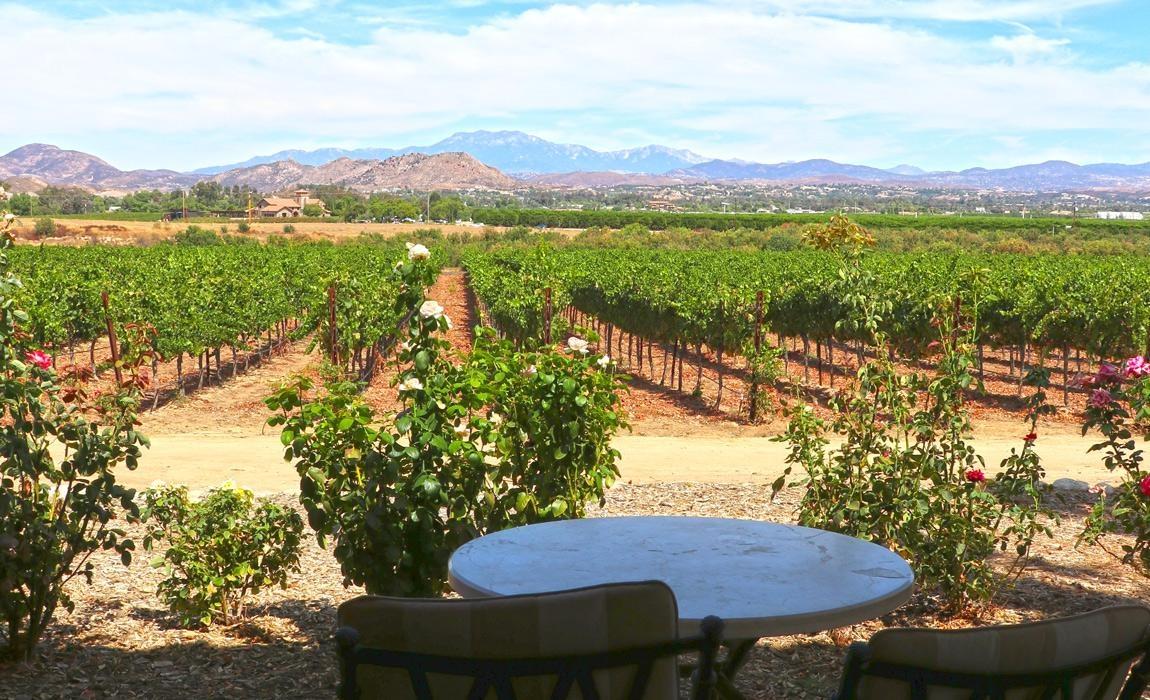 View from the patio of a Vineyard Bungalow at Carter Estate Winery in Temecula