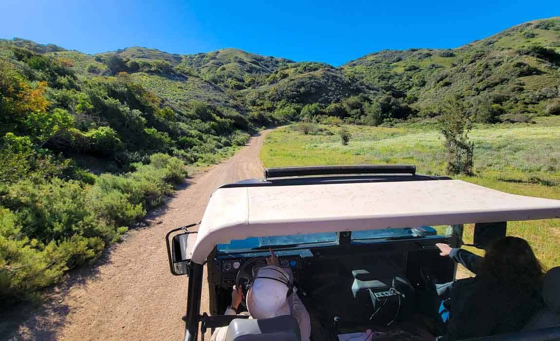 Catalina Island Hummer Tour