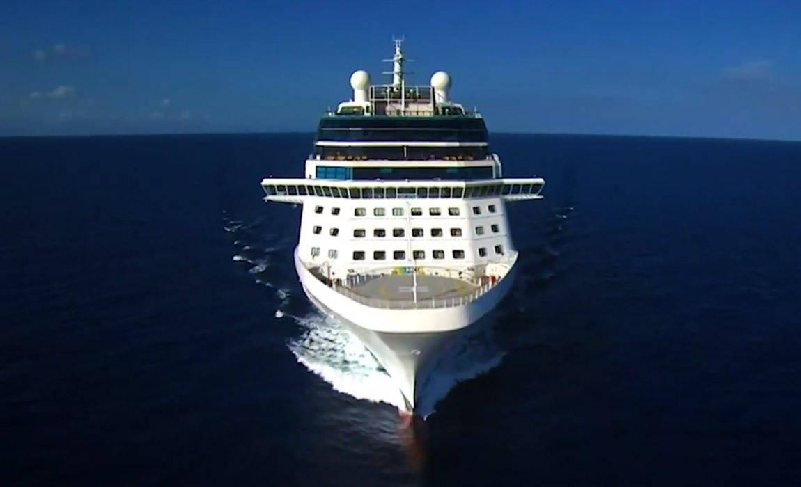 Celebrity Reflection