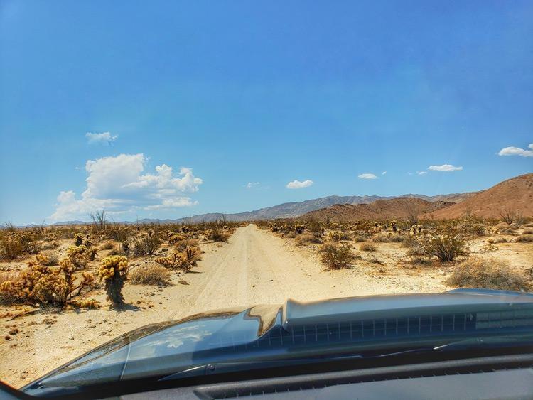driving through ocotillo wells