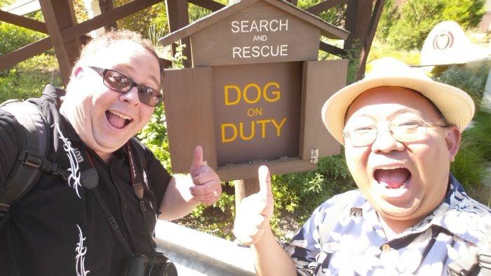 dog on duty