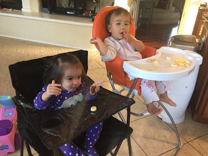 ciao! baby portable highchair vs traditional high chair