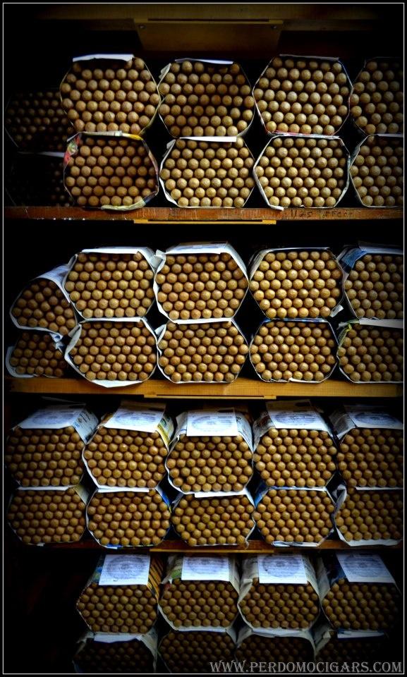Cigars Stacked in a Humidor