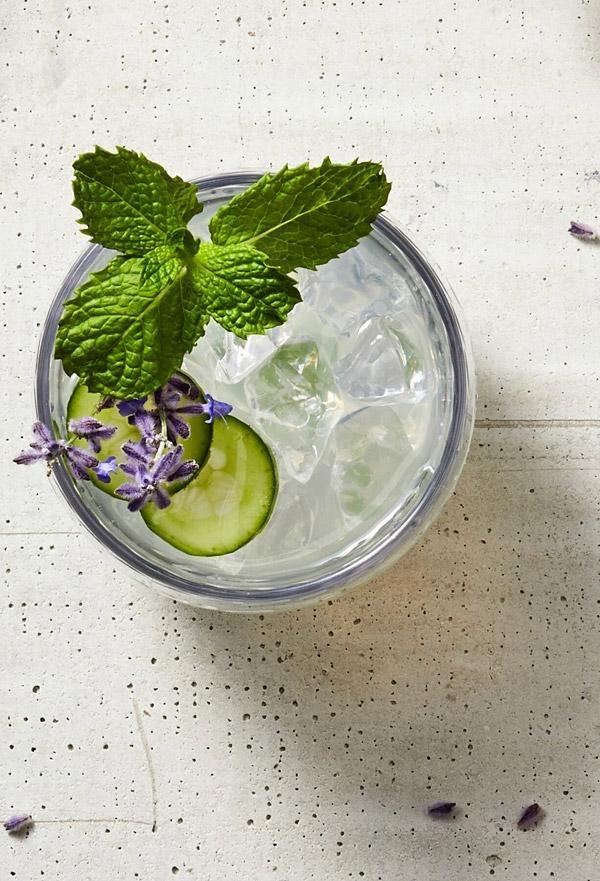 cucumber mint mojito recipe