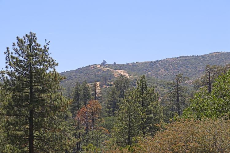 willow creek ohv trail san bernadino mountains