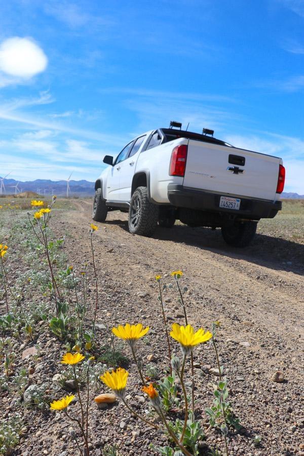 chevy colorado zr2 dusk edition with wild flowers