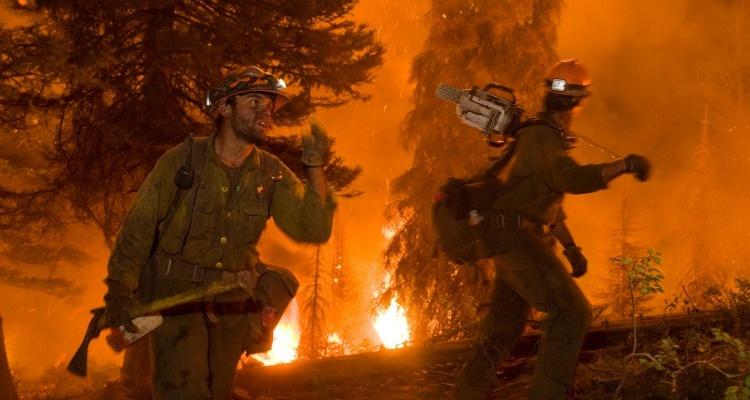 Wildfire Forest Fire Fighters
