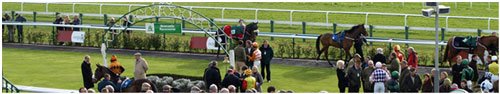 newcastle-races