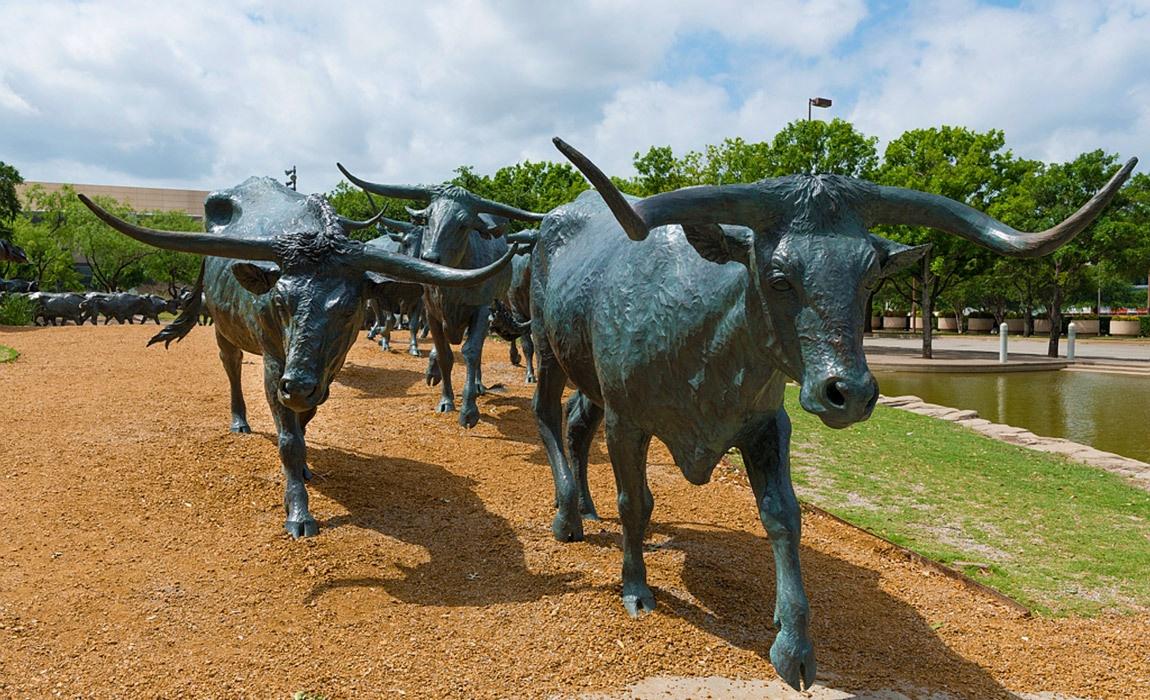 Dallas Texas Mancation Ideas