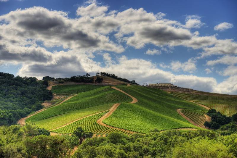 daou vineyards