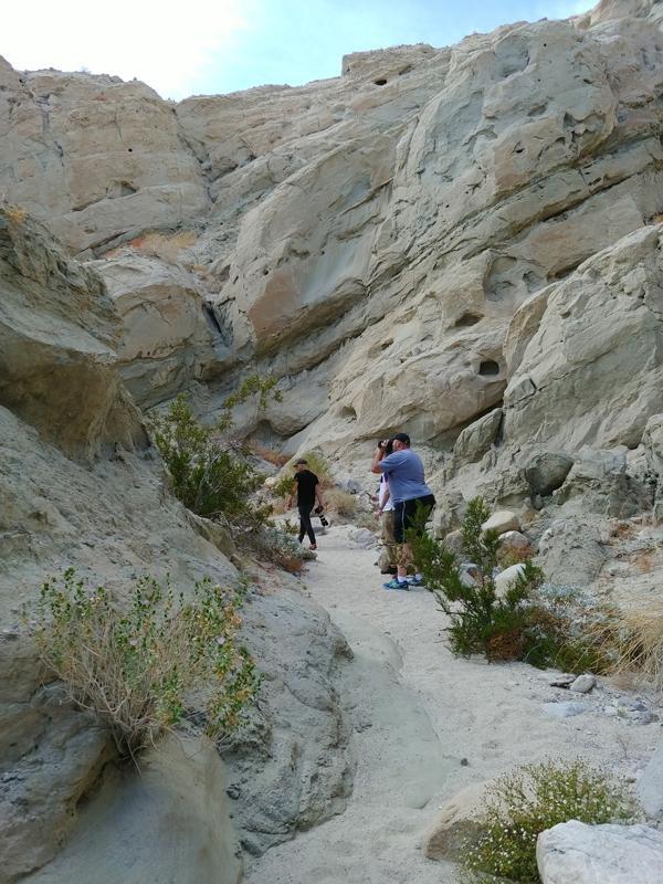 exploring canyons in the desert with desert adventures red jeep tours