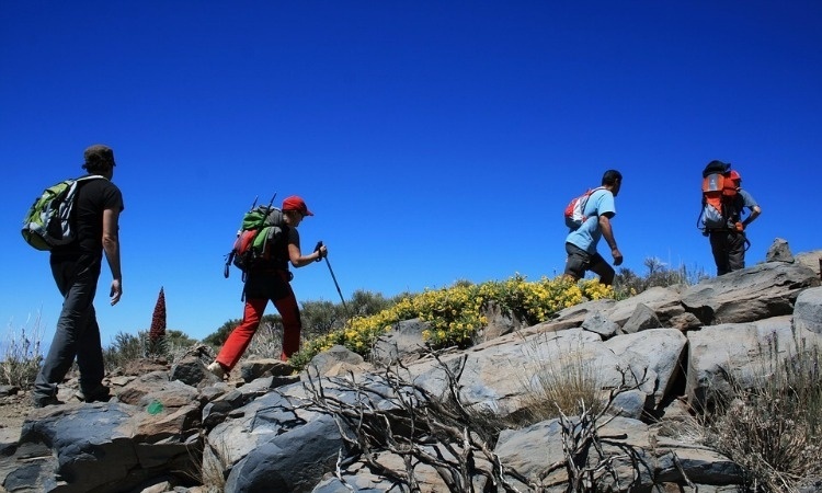 Hiking in the Canary Islands