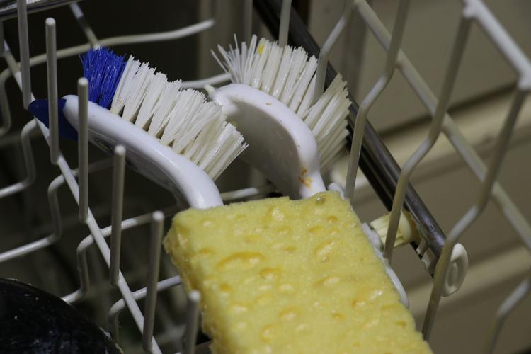 wash scrub brushes and sponges in dishwasher