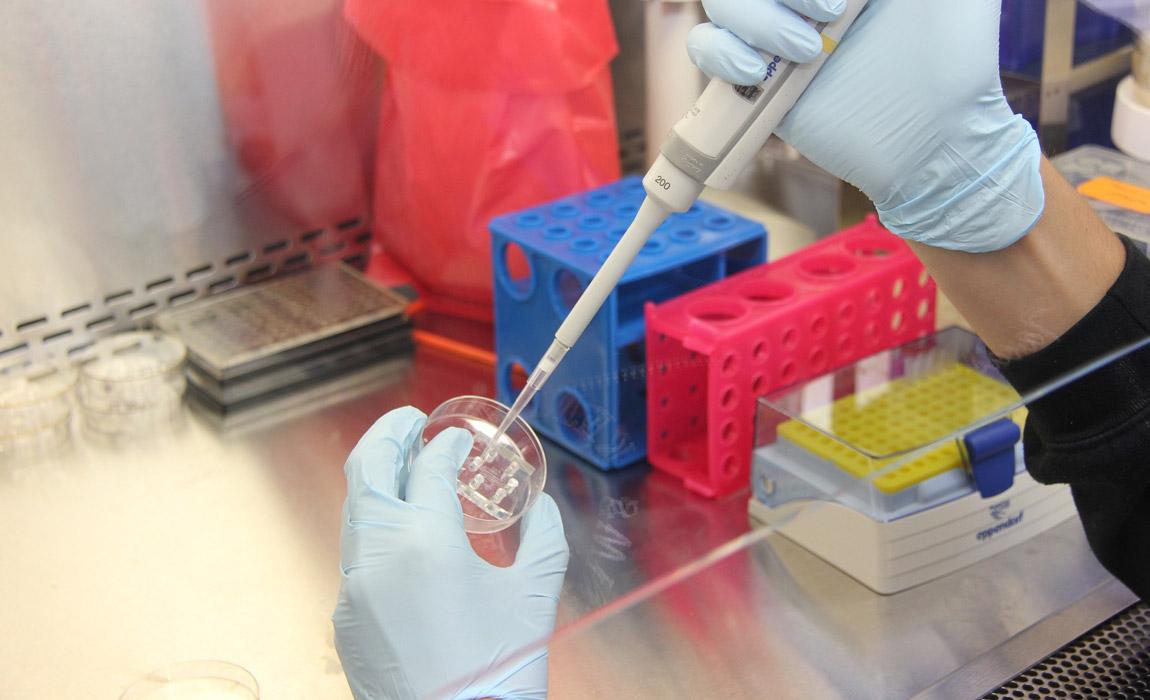 dna testing can help better understand your heritage