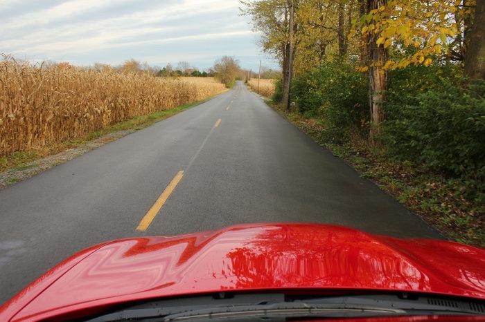 driving-through-cornfields