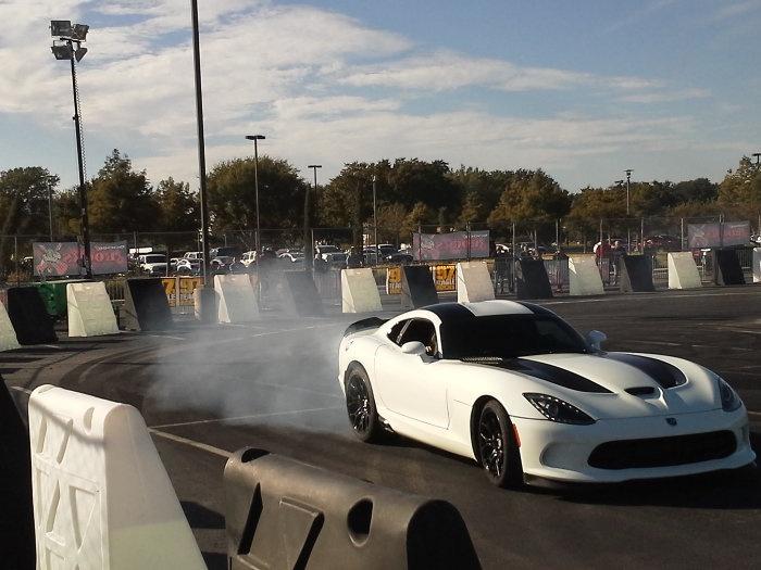 viper