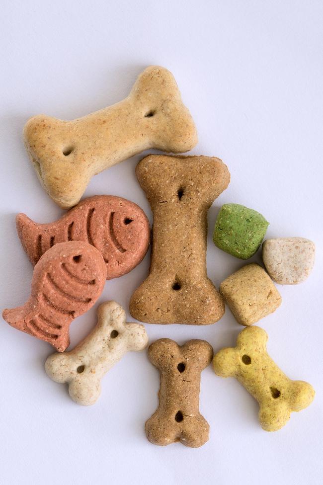 dog treats