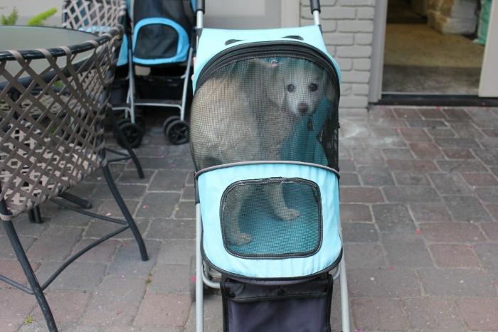 niki in stroller