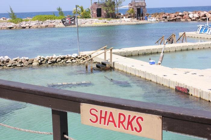 shark-pen