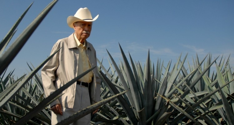 Don Julio in an Agave Field