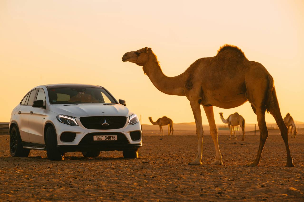 transportation guide for a dubai guys trip