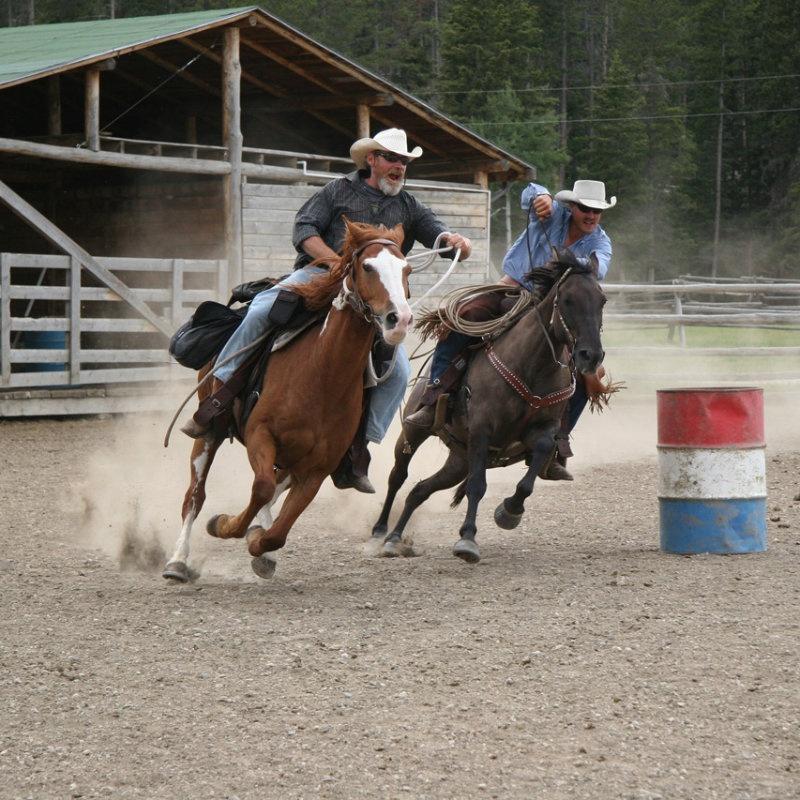 Visit a Dude Ranch