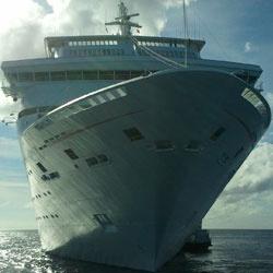carnival-ecstasy-bow