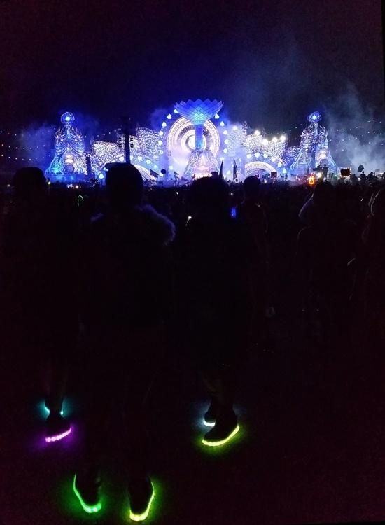 lit shoes