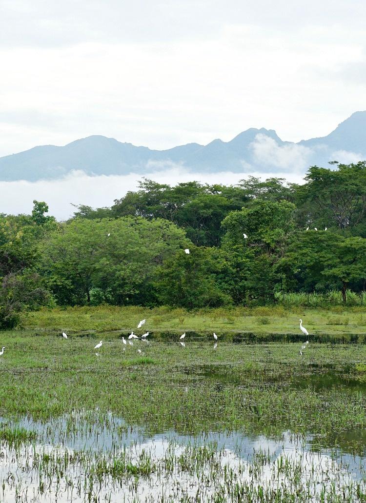 beautiful photos of el salvador