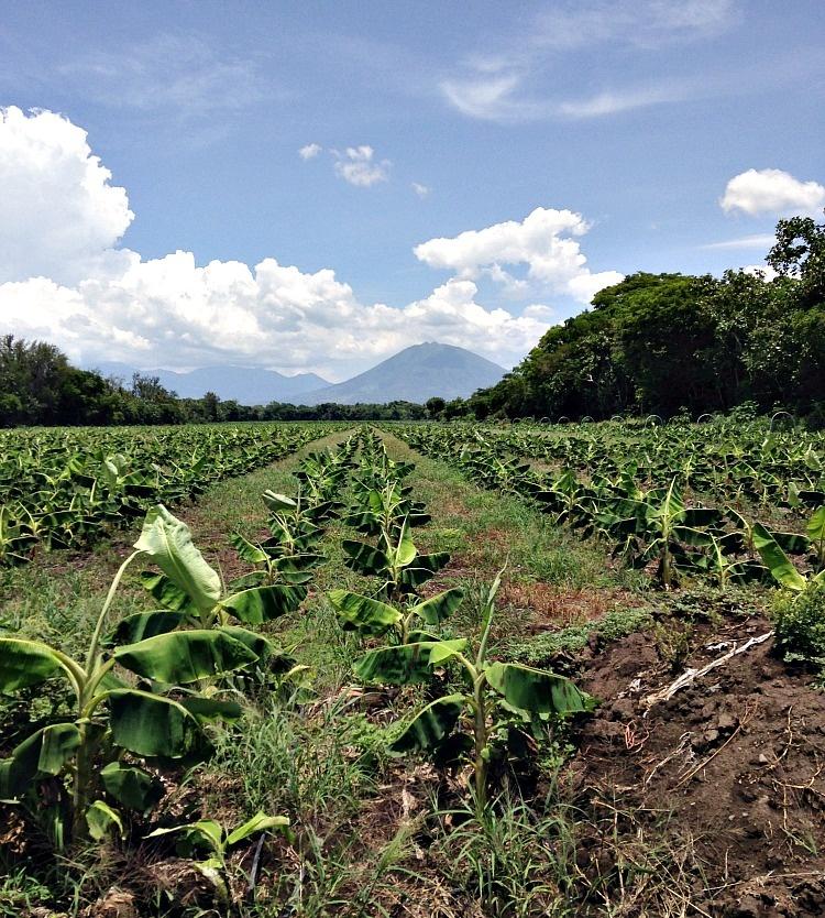 volcanoes in el salvador