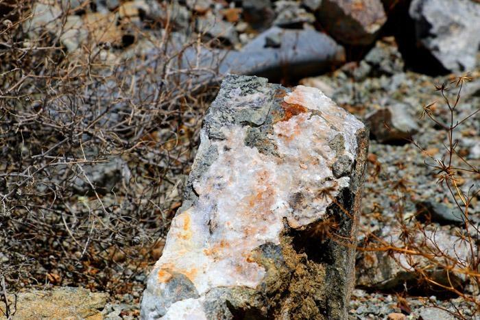 gold in quartz tailings