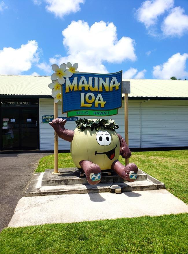 mauna loa visitor center macadamia nut farm