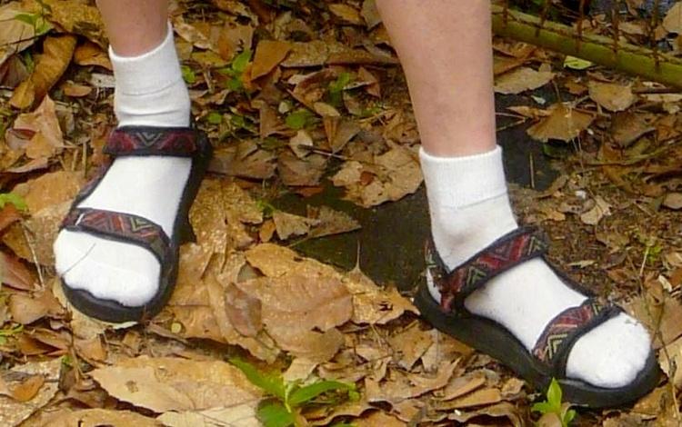 men should never wear socks with sandals