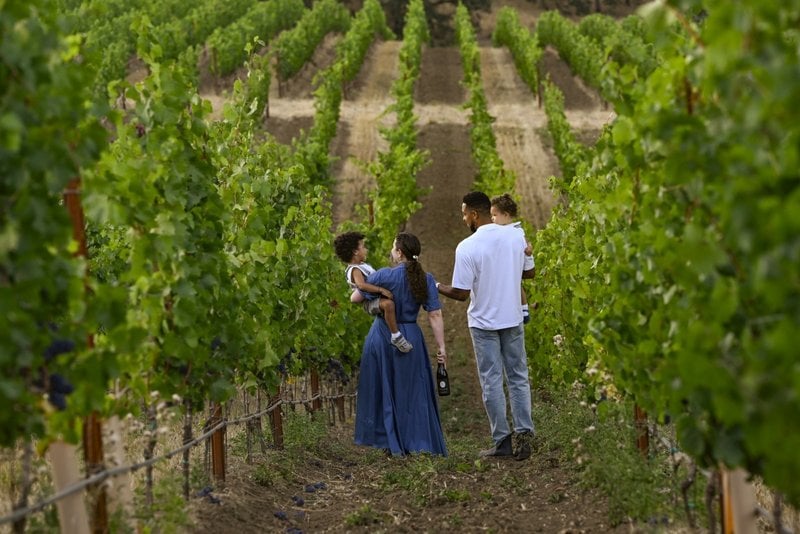 The McCollum family in the vineyard at McCollum Heritage 91 in Oregon's Willamette Valley