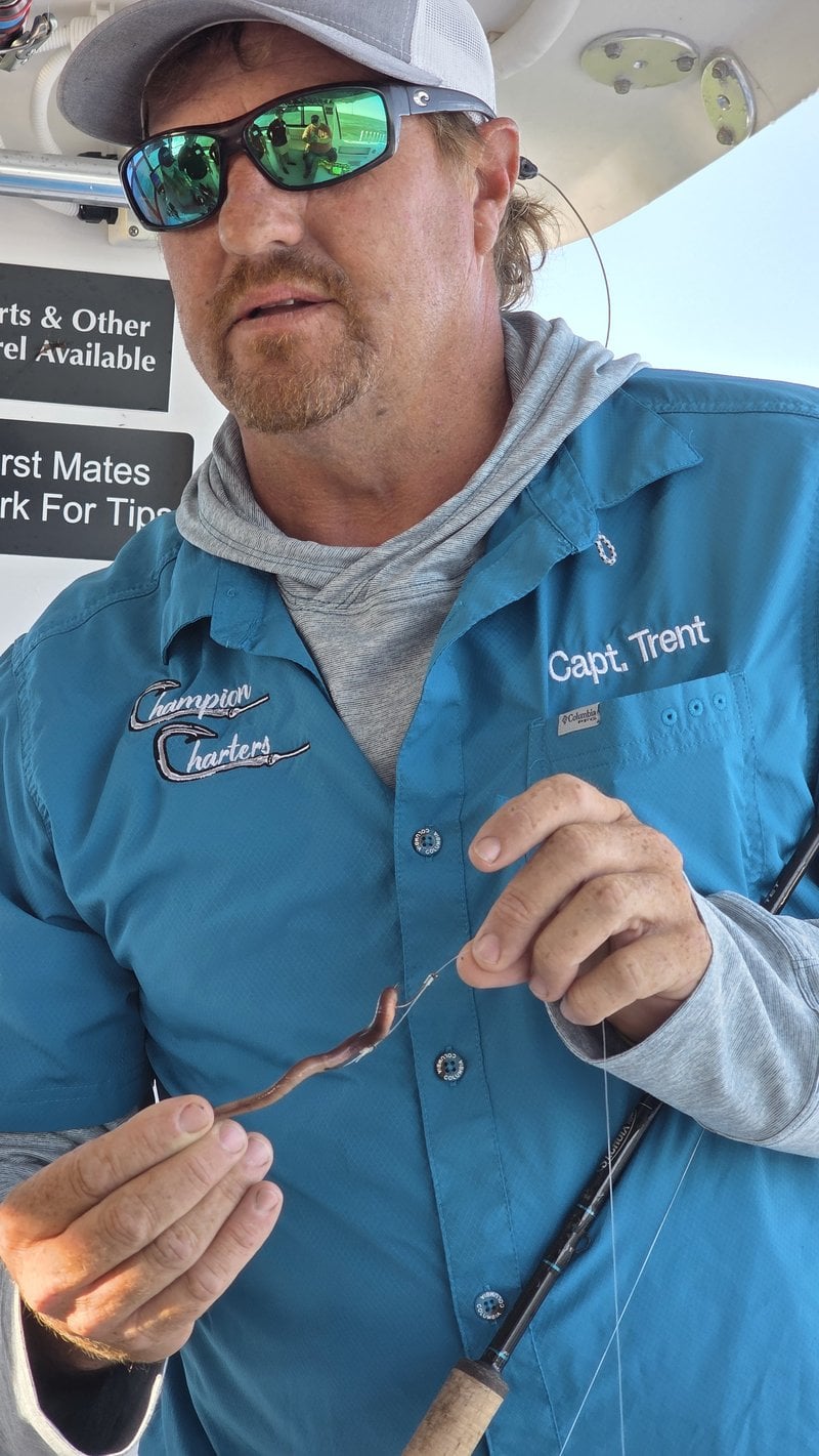 baiting the hook to catch walleye on Lake Erie