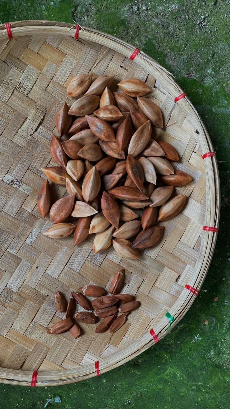 flax seeds in basket
