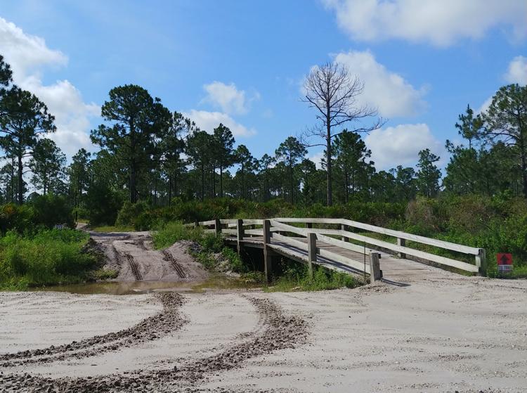 florida tracks and trails atv crossing stream