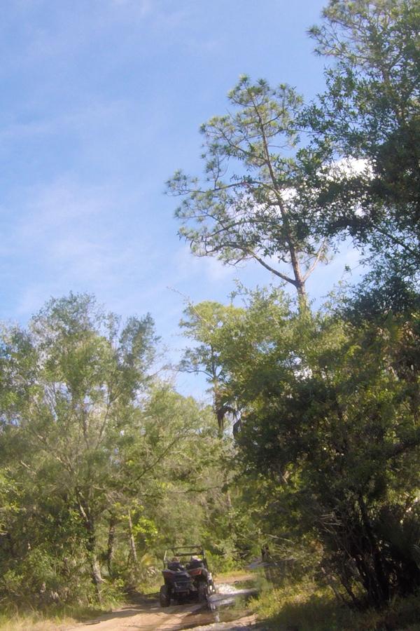 rzr on swamp trail at florida tracks and trails