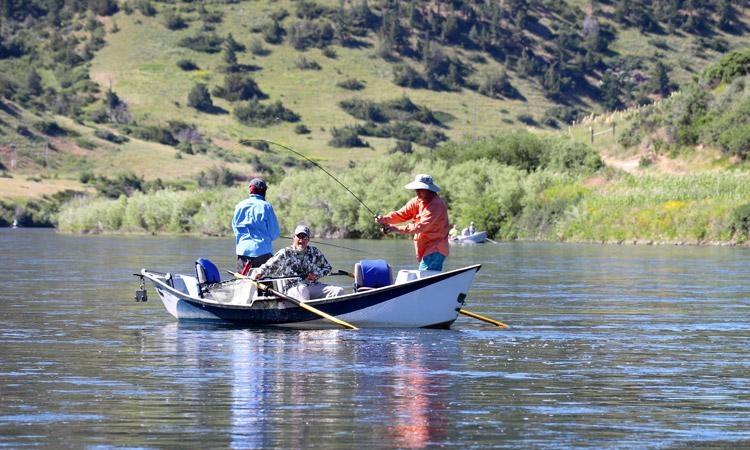 Catching Trout While Fly Fishing in Montan