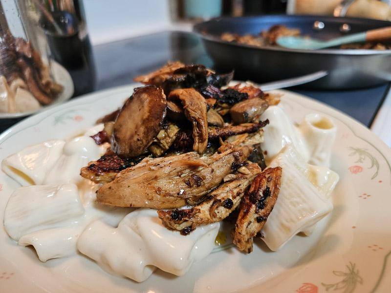 chili mushroom chicken alfredo