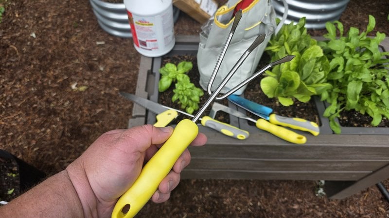 Three-tine hand rake cultivator from the Yesker garden tool set held over a raised bed of basil and lettuce