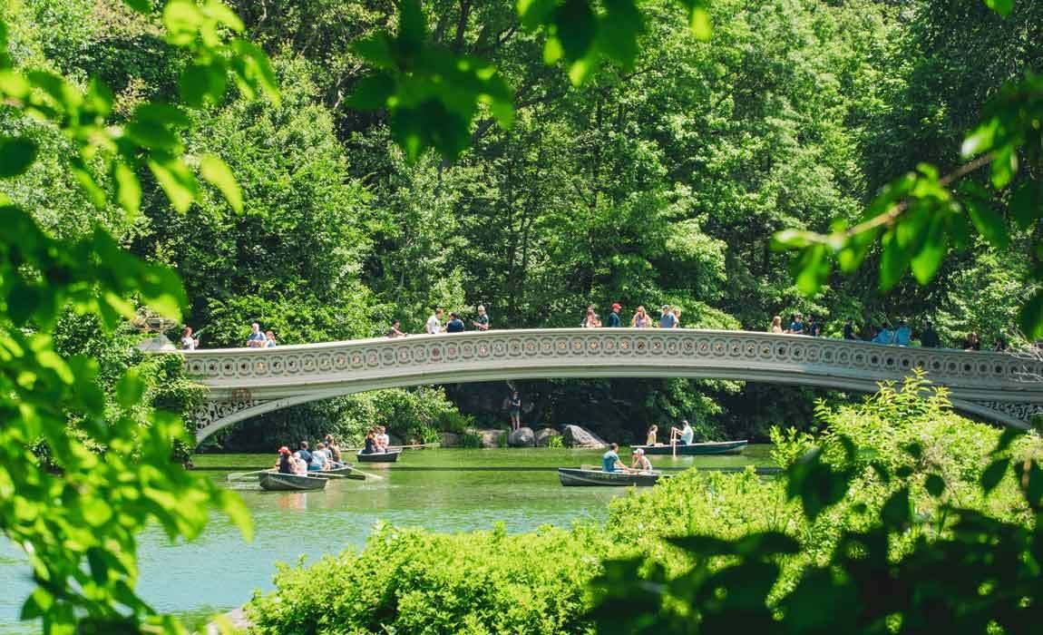 central park in NYC during summer