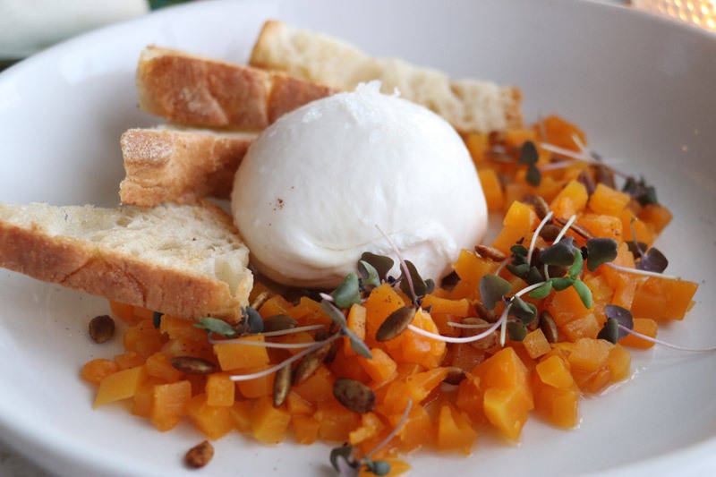 burrata