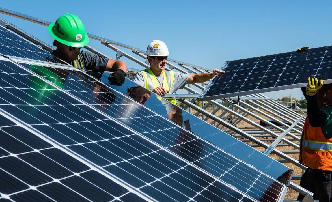 ways that you can go green in your daily life
