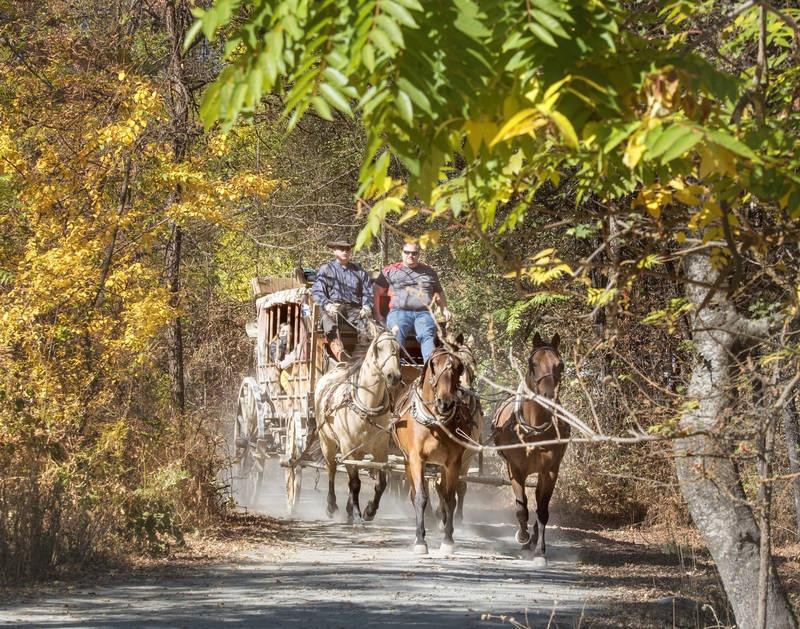 1196 stage coach in columbia state historic park 