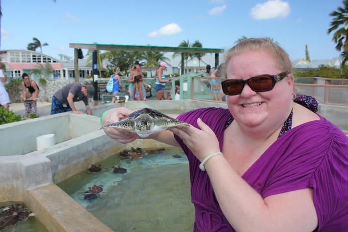 turtle sanctuary grand cayman